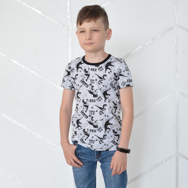 Футболка для мальчиков Blanka Т-рекс р.98 серый 12639 