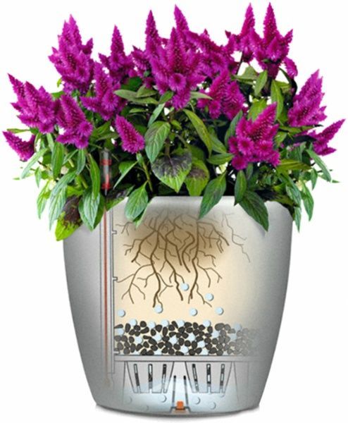 Вазон пластиковый Lechuza Classico Premium LS 43 круглый 27,9л белый 