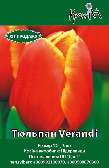 Луковица Тюльпан Verandi 3 шт. 