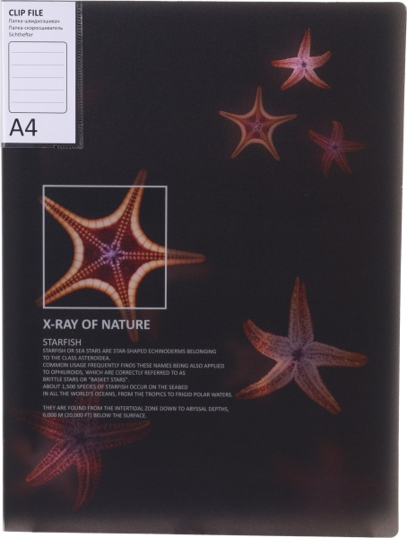 Папка Калейдоскоп А4 в ассортименте Optima