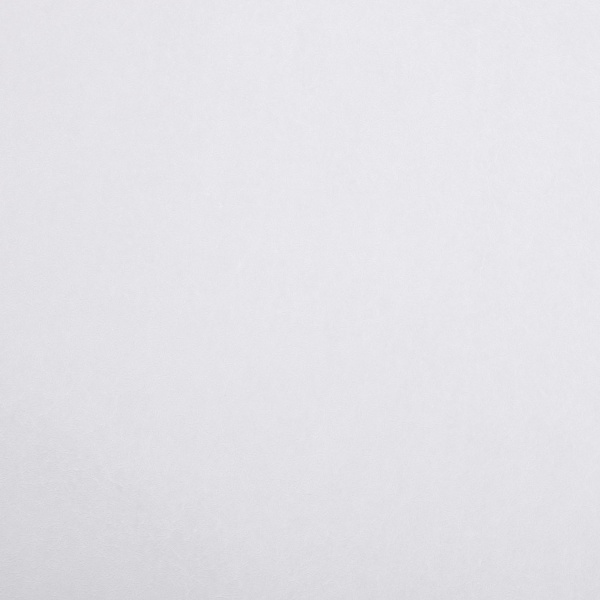 Шпалери під фарбування Vinil PRO 3-10 1,06x10,05 м 