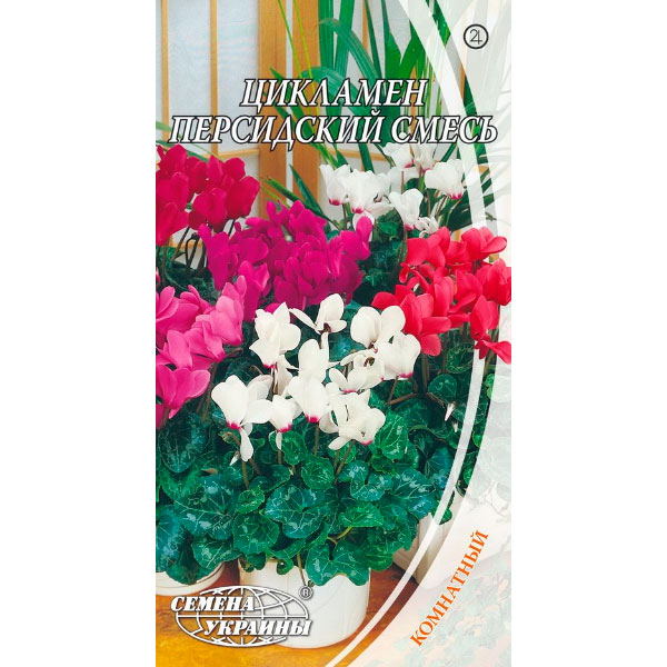 Семена Украины Цикламен персидский 5 шт