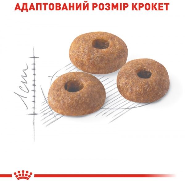 Корм Royal Canin для котів FIT (Фіт), 10 кг