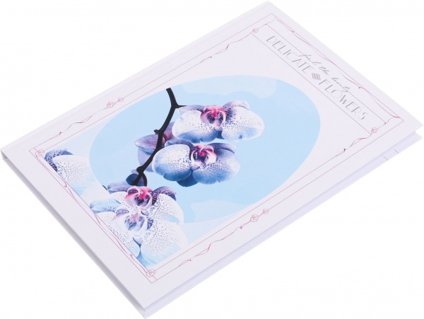 Блокнот А4 в клітинку 120 аркушів в асортименті Поділля