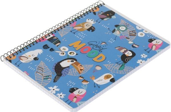 Тетрадь школьная А5 80 листов в клеточку A5-SC-080-6081K Student Школярик