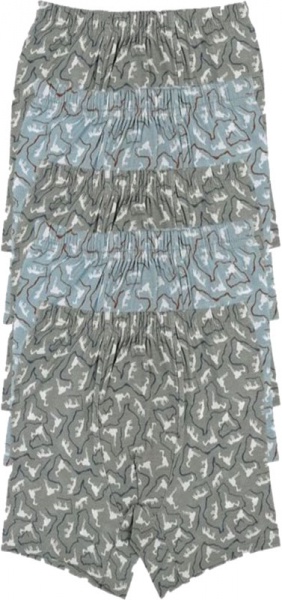 Труси для хлопчика Donella 75882 р.134-140 в асортименті 