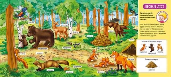 Книга «У лісі» 978-966-751-074-9