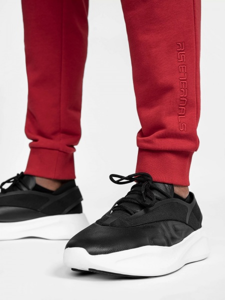 Штани 4F TROUSERS CAS M256 RL9AW22TTROM256-62S р. 2XL червоний