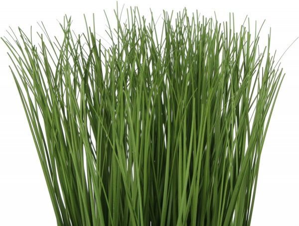 Рослина штучна Міскант в металевому горщику