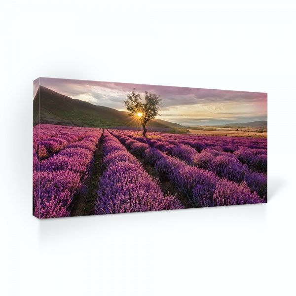 Репродукция Лавандовое поле 96x48 см 