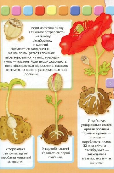 Книга Элеонора Барзотти «Человек: Большая книга для самых маленьких» 978-966-942-323-8