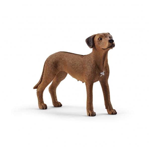 Игровая фигурка Schleich Родезийский риджбек арт.13895 6833866 