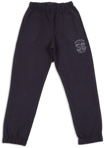 Штаны для мальчиков Фламинго р.110 темно-синий 888-325 