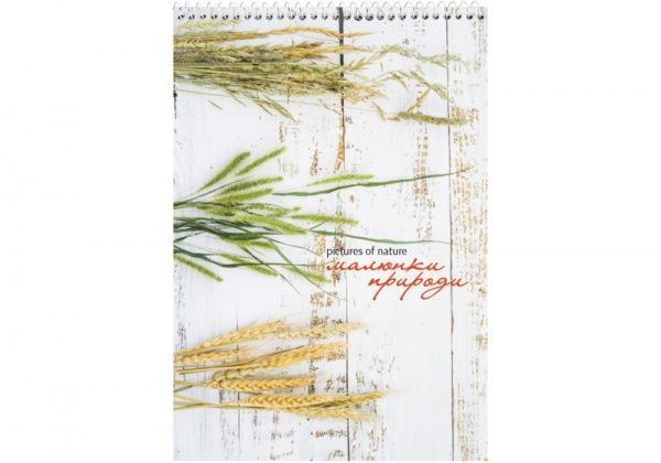Блокнот Рисунки природы: Пшеница А5 80 листов O20332-30 Optima