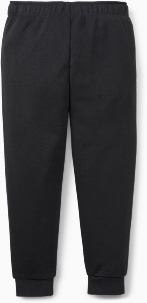 Штани Puma FRUITMATES Sweatpants TR cl 84731701 р. 98 чорний