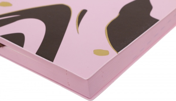 Щоденник датований Silva Leo Planner Silva A5 2023