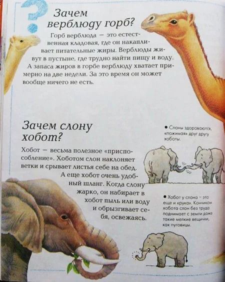 Книга «Большая детская энциклопедия» 978-5-389-02436-6