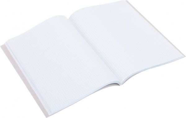 Книга обліку 1В101 48 аркушів в клітинку Аркуш