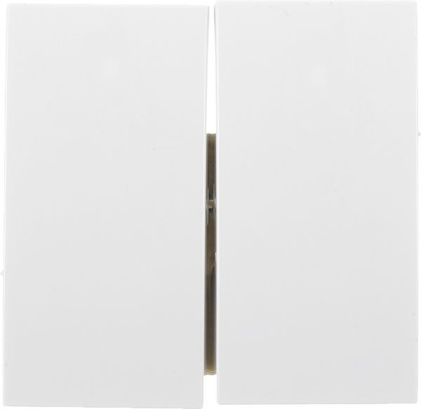 Клавиша выключателя двухклавишный Simon 54 без подсветки 10 А 250В белый DKW5/11