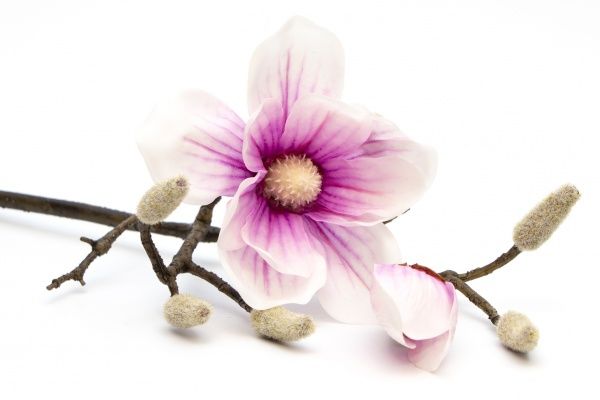 Квітка штучна Магнолія 45 см біло-рожева Home Seasons Decor