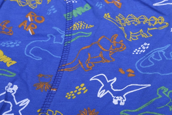 Труси для хлопчиків Luna Kids р.110–116 синій MOR-2-2015/синій/110-116 