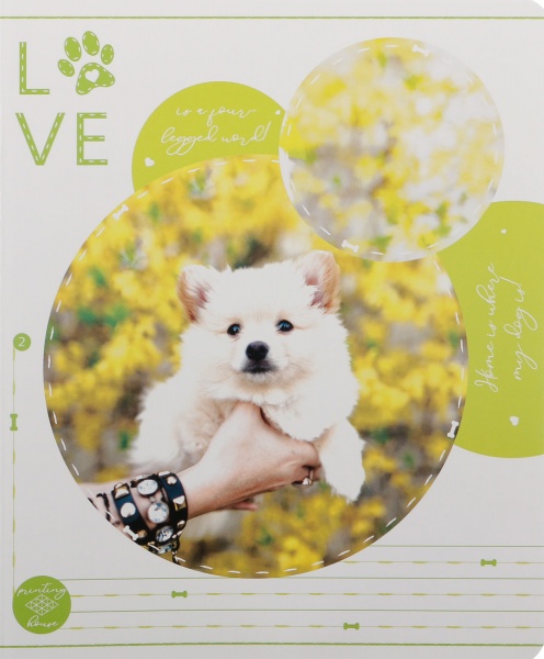 Тетрадь школьная Tadward 12 листов клетка