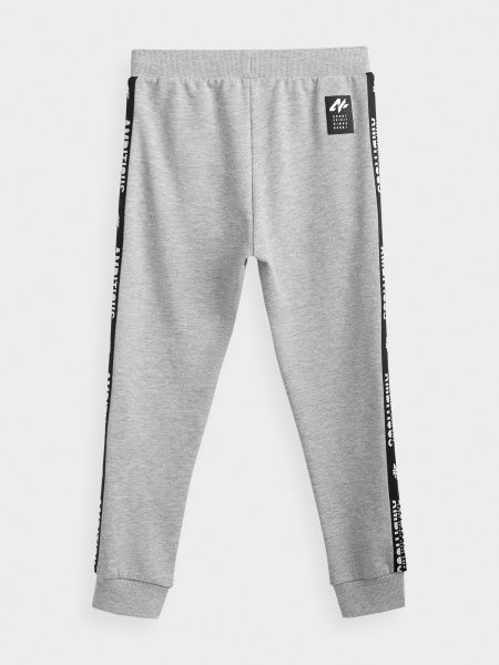 Штани 4F J4Z20-JSPMD201-25M р. 158 сірий