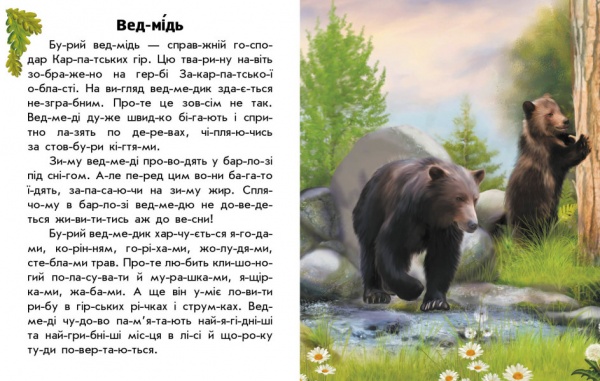 Книга Юлия Каспарова «Тварини гір» 978-617-09-8136-3