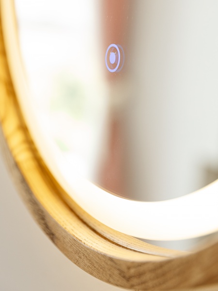 Дзеркало з вбудованим підсвічуванням Luxury Wood Freedom Slim LED ясен темний 550x850 мм 