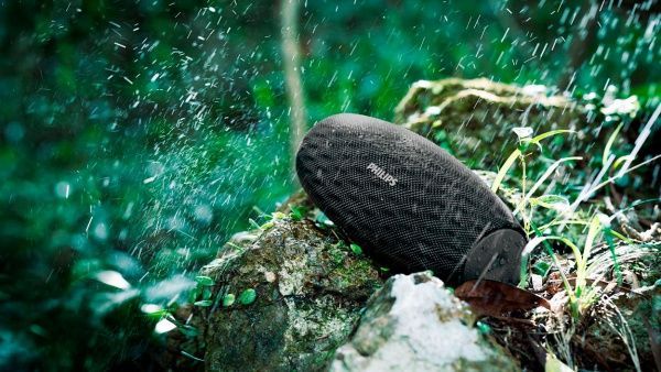 Акустическая система Philips BT6900B/00 1.0 black 