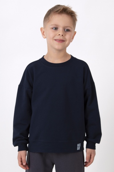 Світшот для хлопчика Mevis 03 р.116 синій 