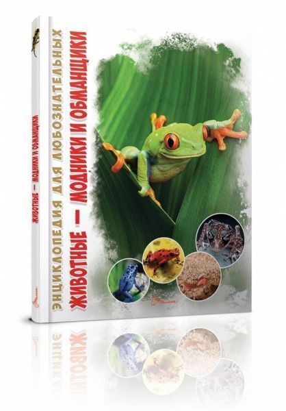 Книга «Животные – модники и обманщики» 978-966-935-312-2