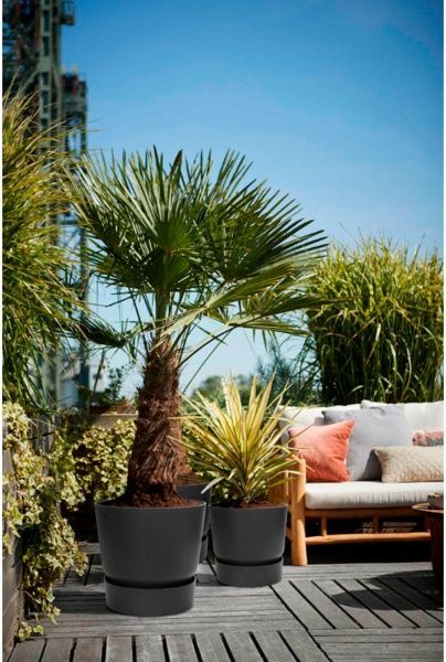 Вазон пластиковый Elho greenville round 25 см круглый черный (8711904332334) 