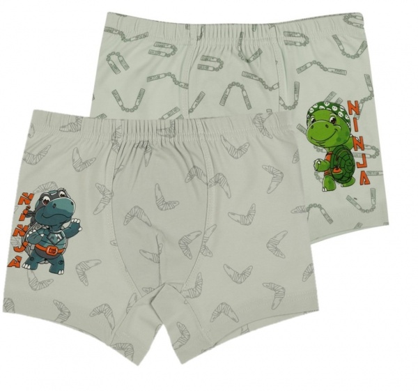 Трусы для мальчика Donella 751011NJ р.110-116 в ассортименте 