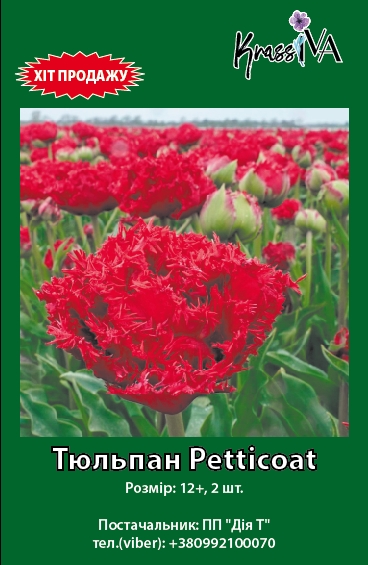 Луковица KrassIVA тюльпан Petticoat 2 шт. 