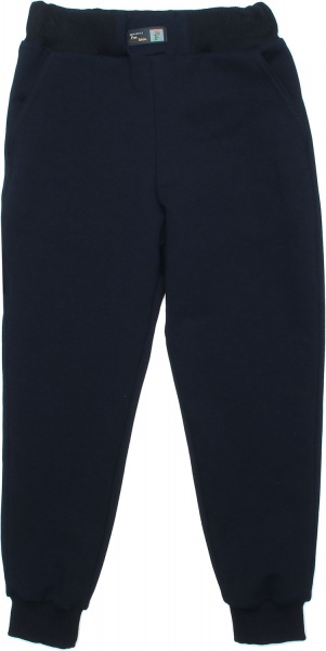 Штани дитячі Україна Шт 3302 р.104 синій 