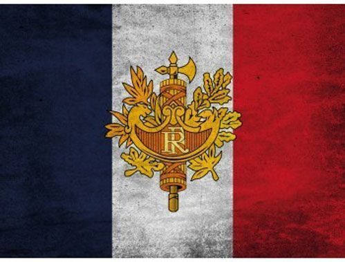 Картина Герб Франции 21x29,7 см Posterclub 