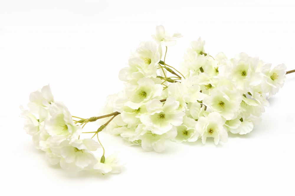 Веточка декоративная Вишня 64 см белая Девилон