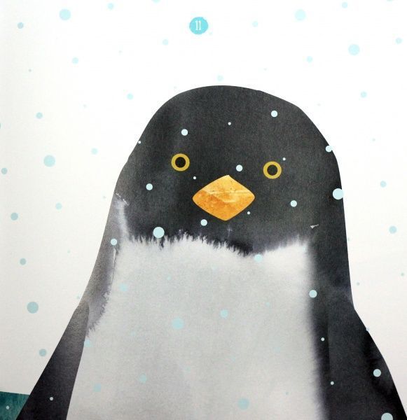 Книга Наталья Чуб «Професор карапуз: Де живе пінгвін?» 978-617-09-4575-4