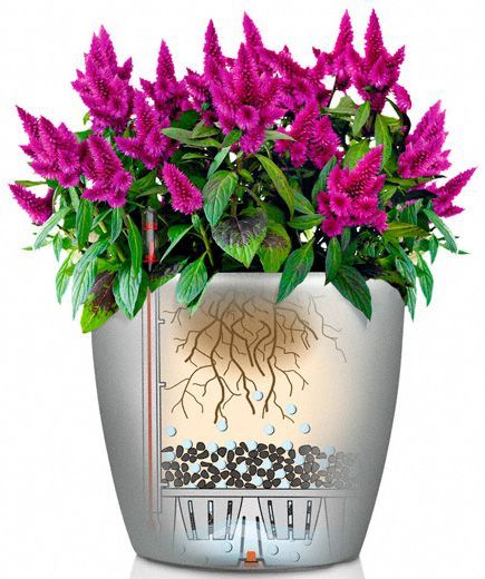 Вазон декоративный Lechuza Classico Color 35 круглый 36,5л белый (13210) 