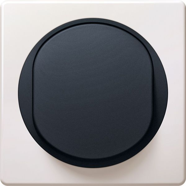 Вимикач одноклавішний Aling-Conel Eon без підсвітки 10 А 250В чорний E605.E1