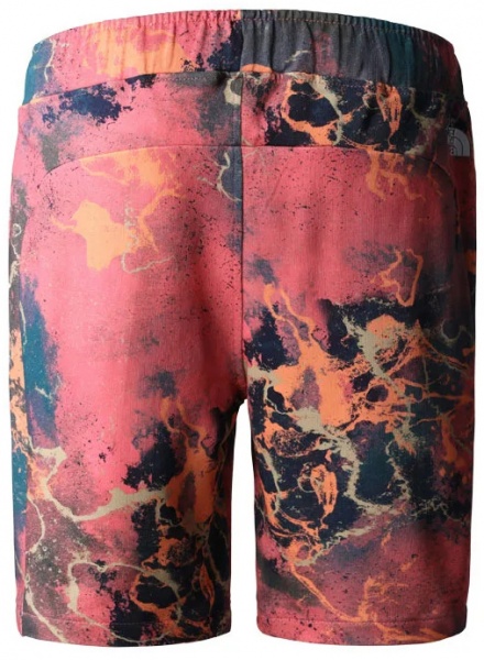 Шорти THE NORTH FACE M SUMMER LOGO SHORT NF0A8237IOC1 р. 2XL різнокольоровий