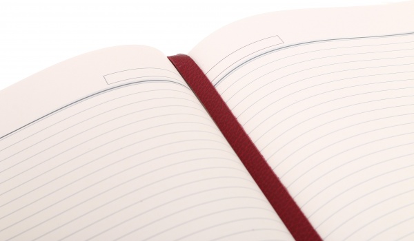 Дневник недатированный Флай красный ТЕКО A4 Е 040-00.62-312260