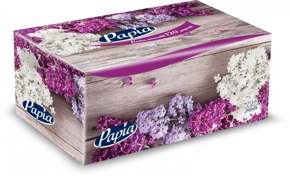 Салфетки гигиенические в коробке PAPIA 2 слоя 120 шт.