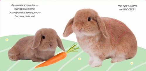 Книга «Кролик и его друзья» 978-966-948-089-7