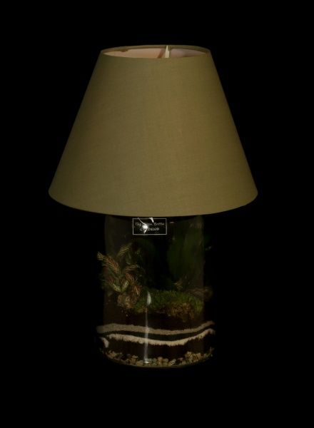 Растение декоративное Террариум в бра 27/40