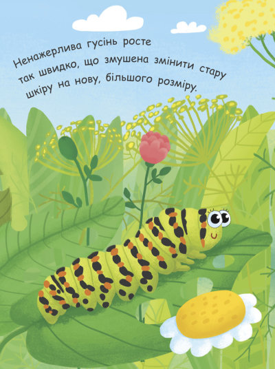 Книга Инна Конопленко «Як народжується метелик» 9789667488352