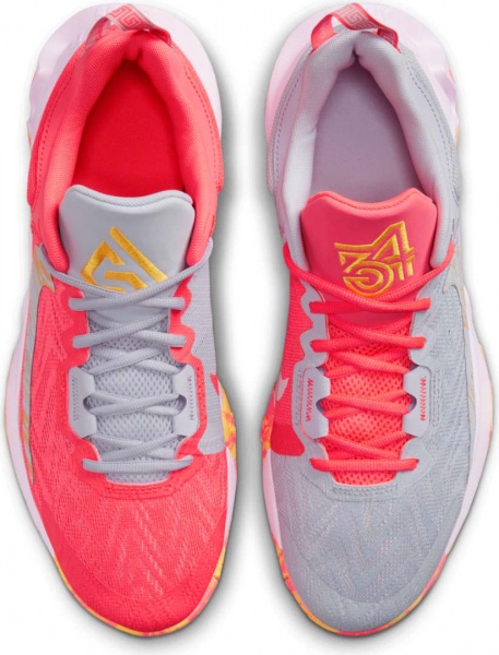 Кросівки Nike GIANNIS IMMORTALITY 2 DM0825-600 р.41 червоний