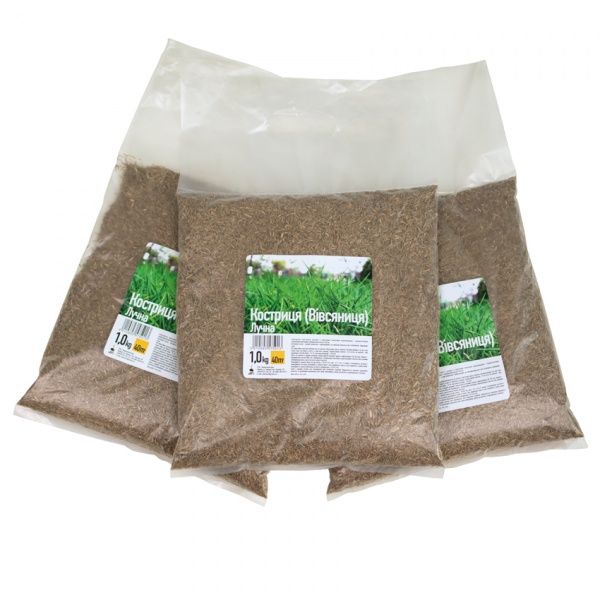 Семена газонная трава Овсянница луговая 1 кг 1 кг