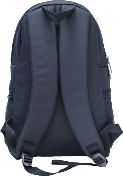 Рюкзак Bagland Урбан 30х44х15 см 53066 Сірий